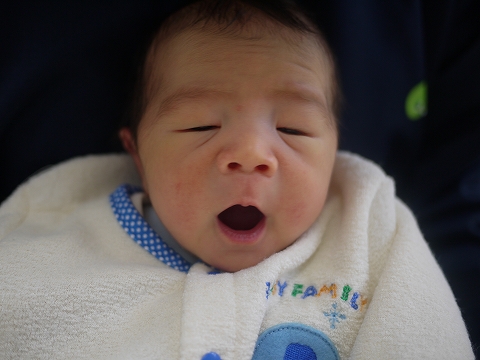 20110111rin.jpg