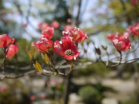Lumix3.jpg