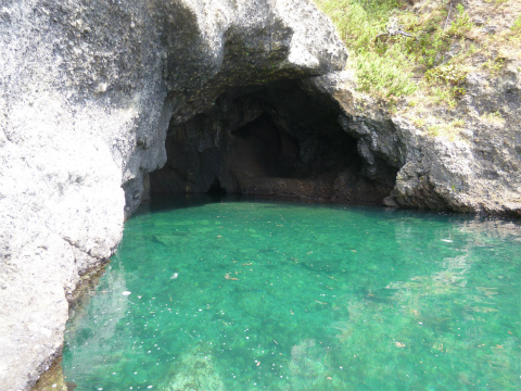 P1000410.jpg