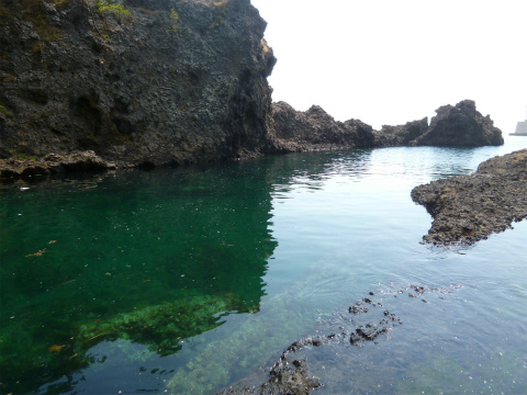 P1000411.jpg