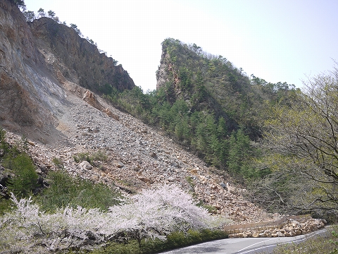 P1020098.jpg