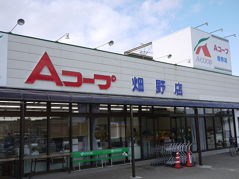 acorp_hatano1.jpg