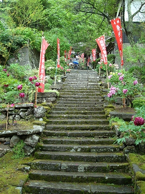 hasedera1.jpg