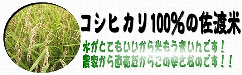 home_sadomai.jpg