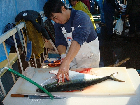 kanburi2008_4.jpg