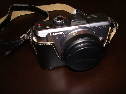 lumix.jpg