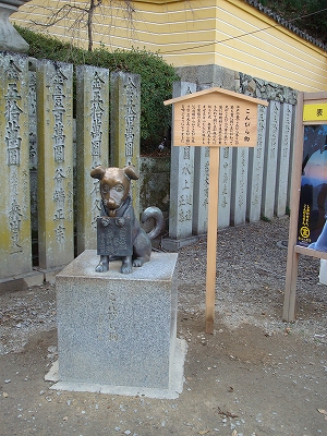 shikoku11.jpg